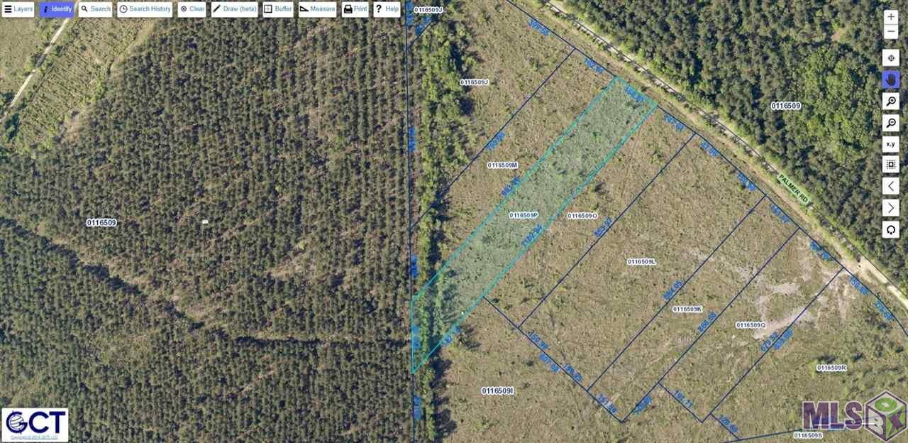 20052 Palmer Road Livingston, LA 70754 - Photo 3 of 4 Gallery Image 3