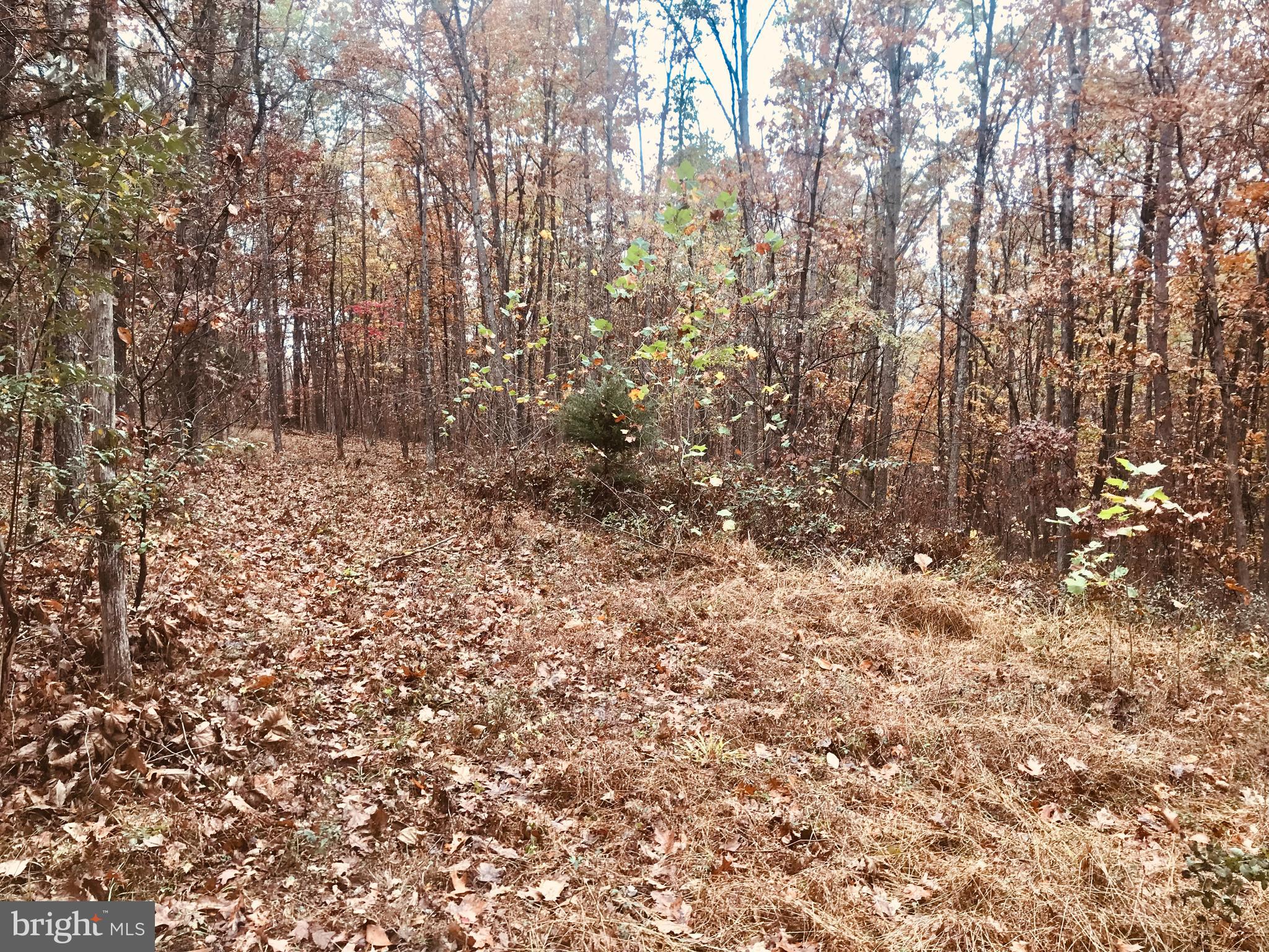 0 McCubbin Road Winchester, VA 22603 - Photo 2 of 7