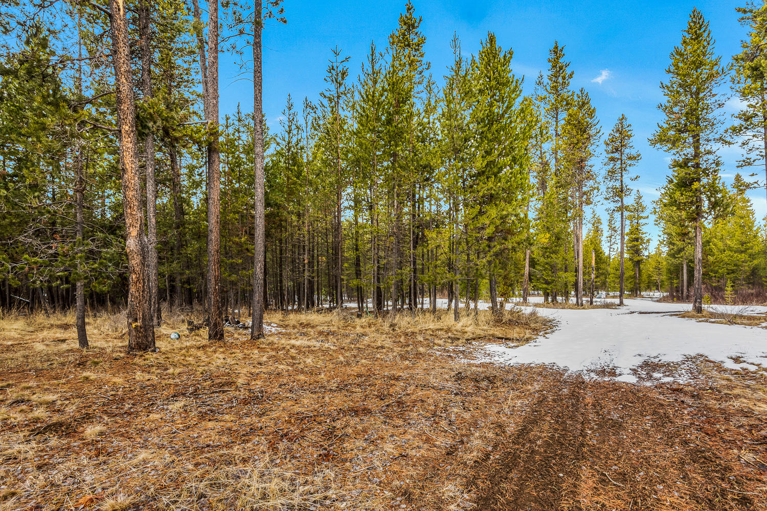 17084 Elsinore Road Bend, OR 97707 - Photo 36 of 41 OReilly_20210311_36_54489_72ppi