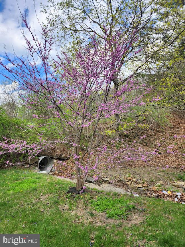 172 Raystown Road Everett, PA 15537 - Photo 38 of 38