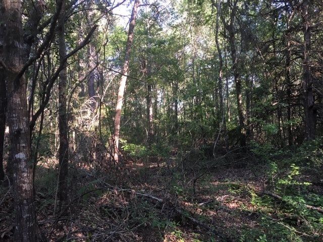 0 Container Road Andalusia, AL 36421 - Photo 5 of 10 Gallery Image 5