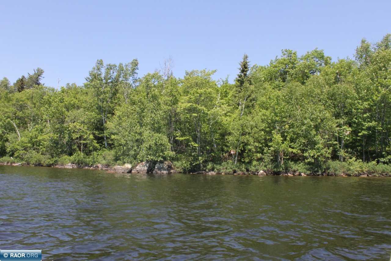5-6 7 Grassy Point Cook, MN 55723 - Photo 3 of 4
