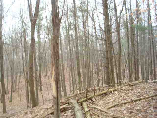 Vl Hough Road Dryden, MI 48428 - Photo 14 of 29 31082677-13.JPG