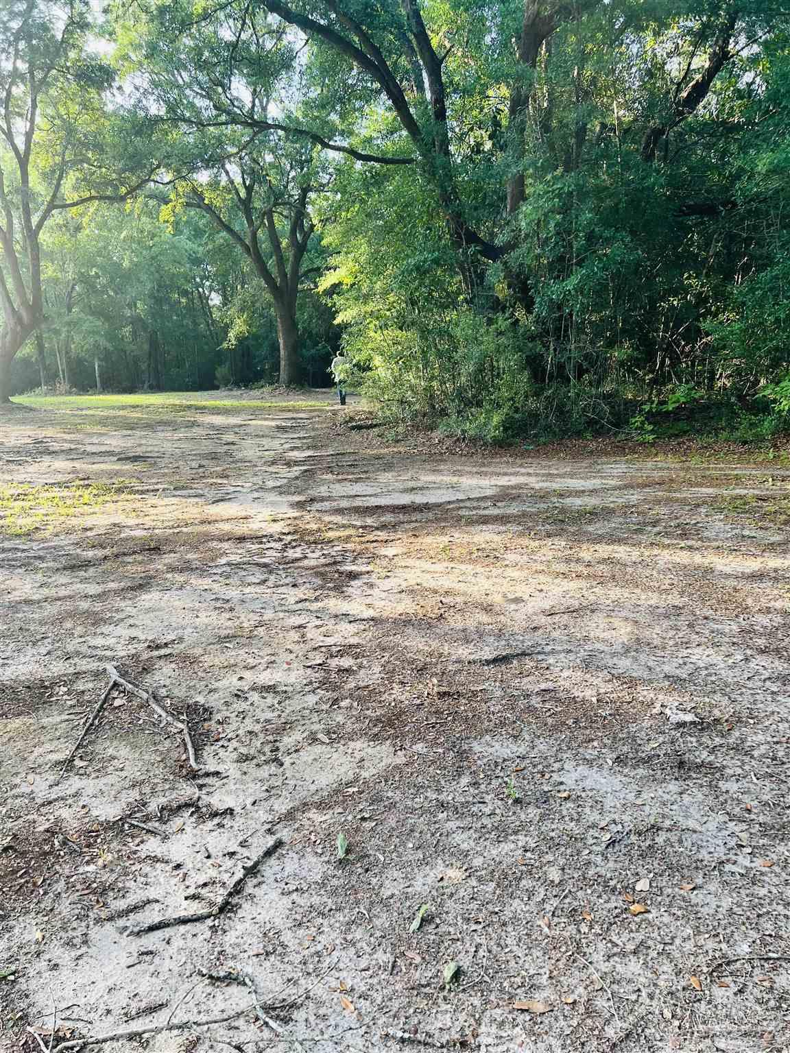 0 Tall Pine Road Bay Minette, AL 36507 - Photo 2 of 6