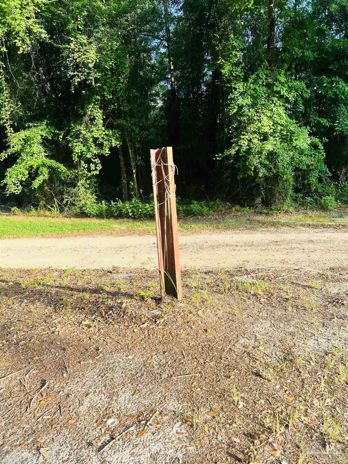 0 Tall Pine Road Bay Minette, AL 36507 - Photo 3 of 6