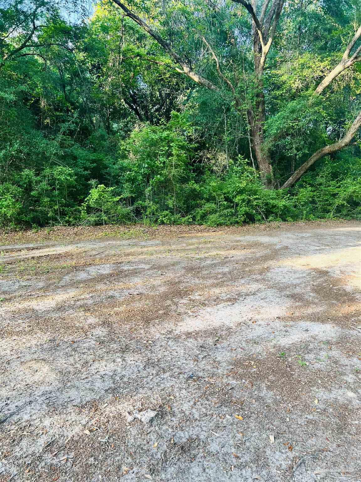 0 Tall Pine Road Bay Minette, AL 36507 - Photo 5 of 6