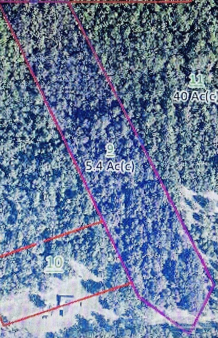 0 Tall Pine Road Bay Minette, AL 36507 - Photo 6 of 6