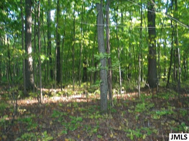11461 Mercer Road, Unit 11425 MERCER ROAD Jerome, MI 49249 - Photo 1 of 25 Photo 1