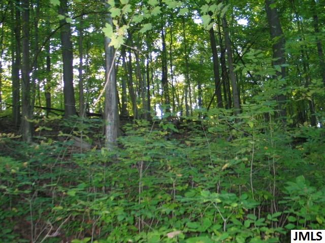 11461 Mercer Road, Unit 11425 MERCER ROAD Jerome, MI 49249 - Photo 13 of 25 Photo 13