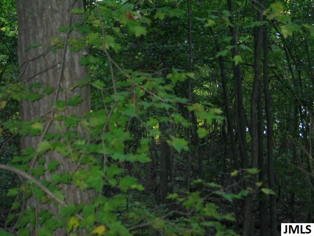 11461 Mercer Road, Unit 11425 MERCER ROAD Jerome, MI 49249 - Photo 15 of 25 Photo 15