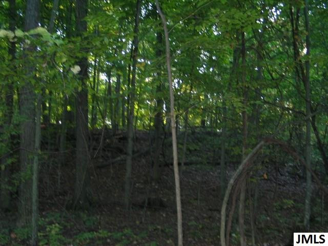 11461 Mercer Road, Unit 11425 MERCER ROAD Jerome, MI 49249 - Photo 16 of 25 Photo 16