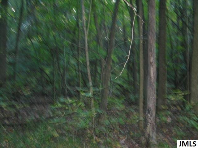 11461 Mercer Road, Unit 11425 MERCER ROAD Jerome, MI 49249 - Photo 17 of 25 Photo 17