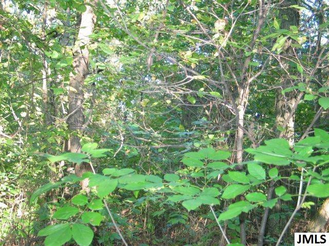 11461 Mercer Road, Unit 11425 MERCER ROAD Jerome, MI 49249 - Photo 18 of 25 Photo 18