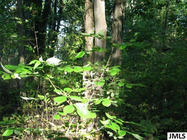 11461 Mercer Road, Unit 11425 MERCER ROAD Jerome, MI 49249 - Photo 19 of 25 Photo 19