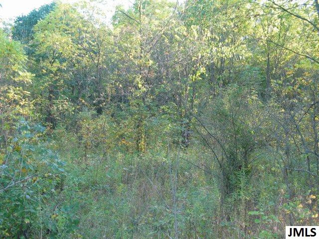 11461 Mercer Road, Unit 11425 MERCER ROAD Jerome, MI 49249 - Photo 21 of 25 Photo 21