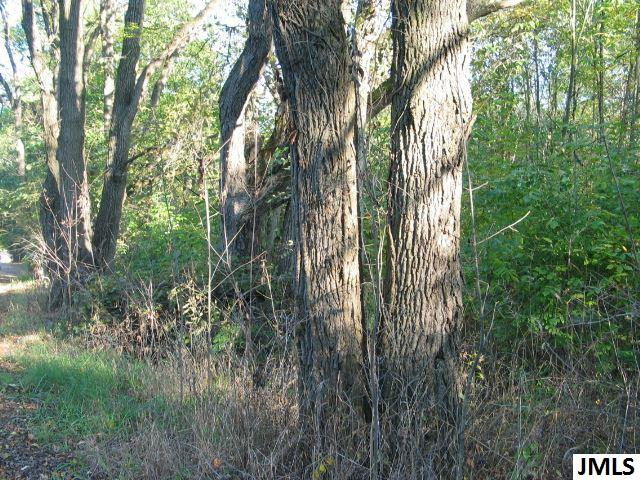 11461 Mercer Road, Unit 11425 MERCER ROAD Jerome, MI 49249 - Photo 24 of 25 Photo 24