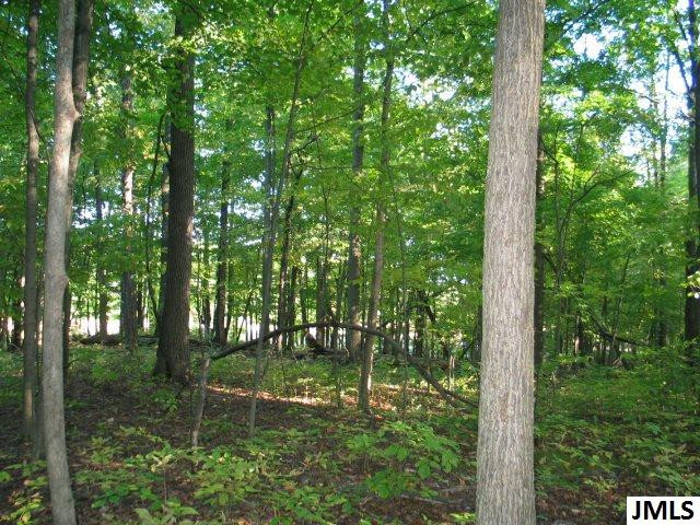 11461 Mercer Road, Unit 11425 MERCER ROAD Jerome, MI 49249 - Photo 3 of 25 Photo 3