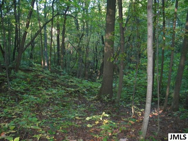 11461 Mercer Road, Unit 11425 MERCER ROAD Jerome, MI 49249 - Photo 4 of 25 Photo 4