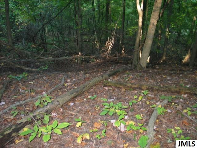 11461 Mercer Road, Unit 11425 MERCER ROAD Jerome, MI 49249 - Photo 7 of 25 Photo 7