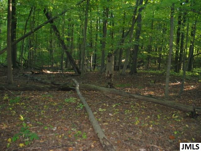 11461 Mercer Road, Unit 11425 MERCER ROAD Jerome, MI 49249 - Photo 8 of 25 Photo 8