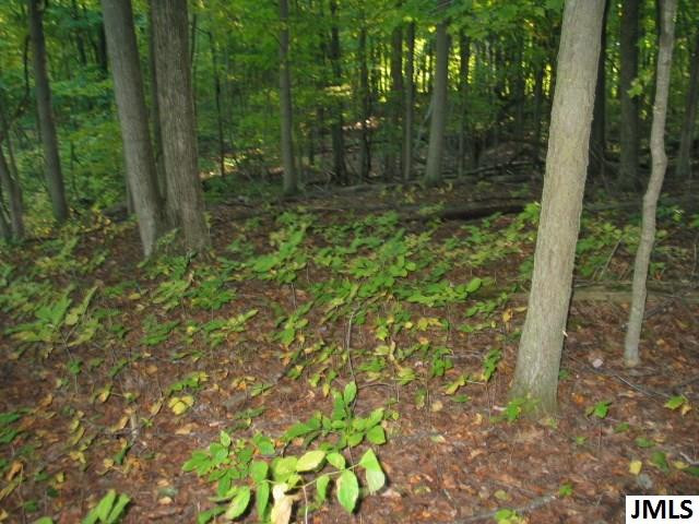 11461 Mercer Road, Unit 11425 MERCER ROAD Jerome, MI 49249 - Photo 10 of 25 Photo 10