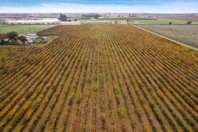 $715,000 | 6233 East Woodbridge Road, Acampo, CA 95220