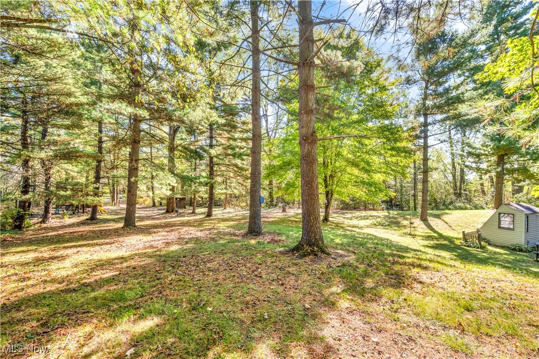 4032 Hanford Road Wakeman, OH 44889 - Photo 26 of 50 View of yard