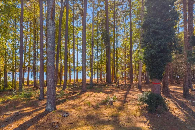$625,000 | 1244 Elrod Ferry Road, Hartwell, GA 30643