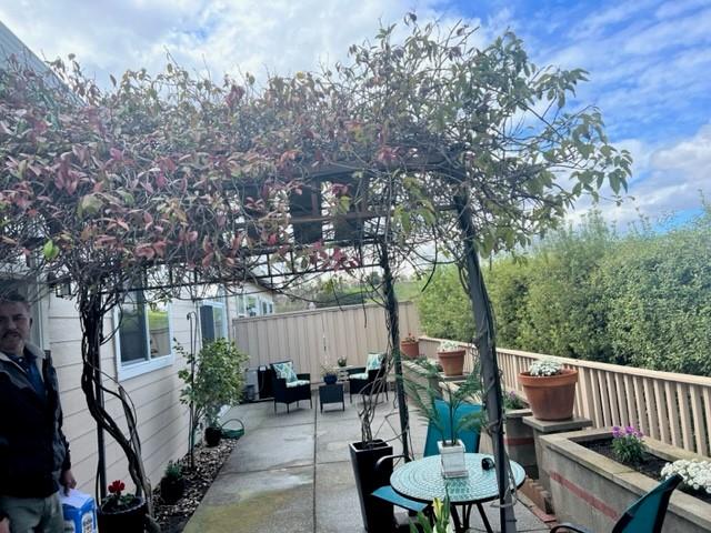 2049 Folle Blanche Drive San Jose, CA 95135 - Photo 24 of 42 a view of a patio with two chairs and a table