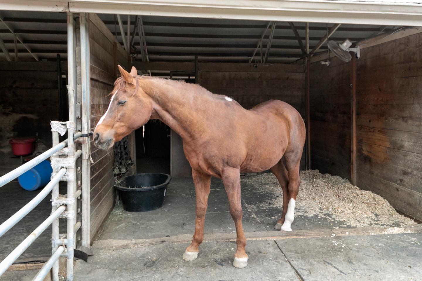 2049 Folle Blanche Drive San Jose, CA 95135 - Photo 35 of 42 a view of entryway