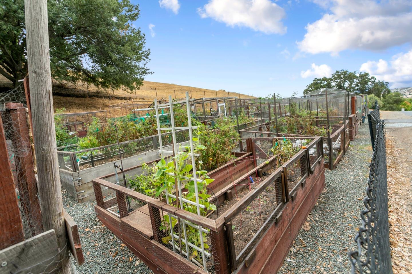 2049 Folle Blanche Drive San Jose, CA 95135 - Photo 36 of 42 a view of a chairs in a balcony