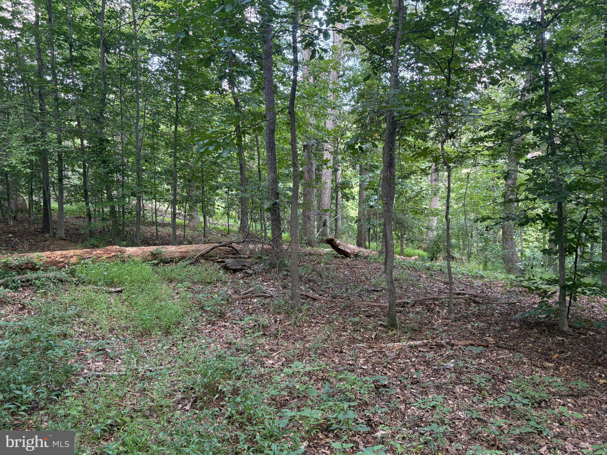 0 Union Mill Road Clifton, VA 20124 - Photo 5 of 18 Gallery Image 5