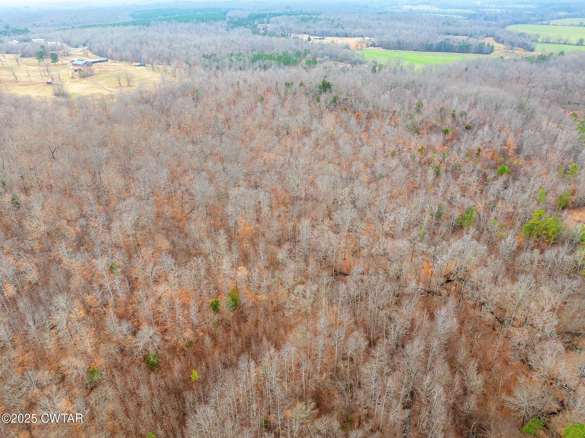 0 Sulphur Spring Road Parsons, TN 38363 - Photo 13 of 25 DJI_20250206125345_0010_D