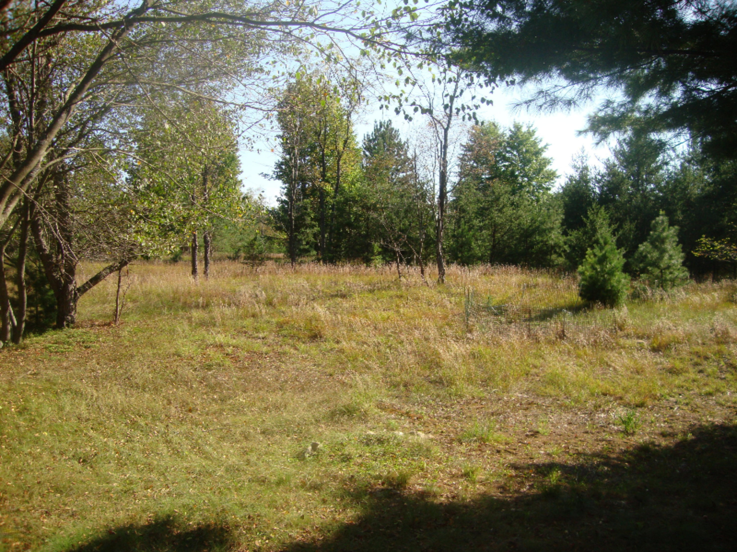 2536 Modjeski Road Manistee, MI 49660 - Photo 20 of 26 DSC03768
