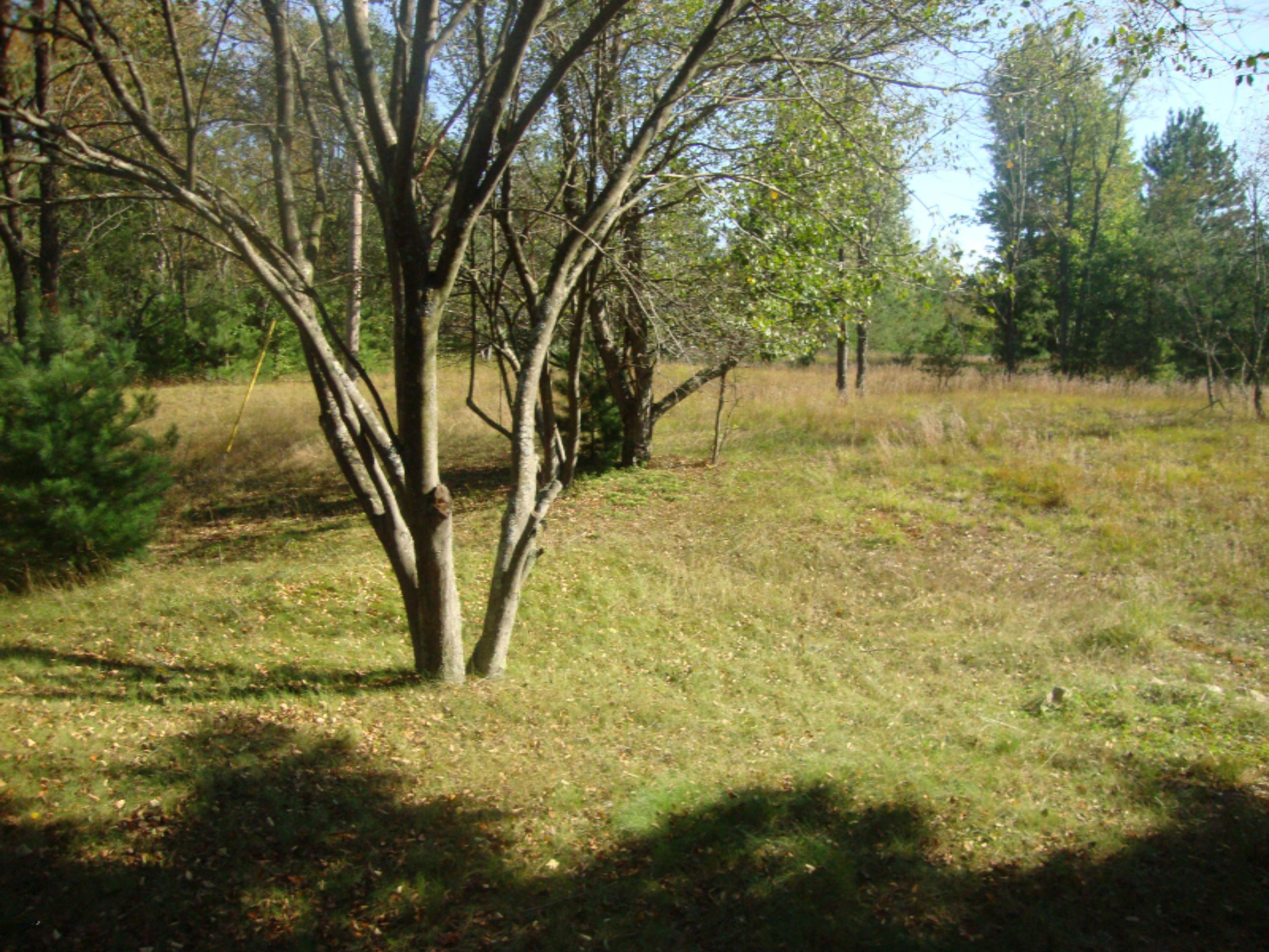 2536 Modjeski Road Manistee, MI 49660 - Photo 21 of 26 DSC03769