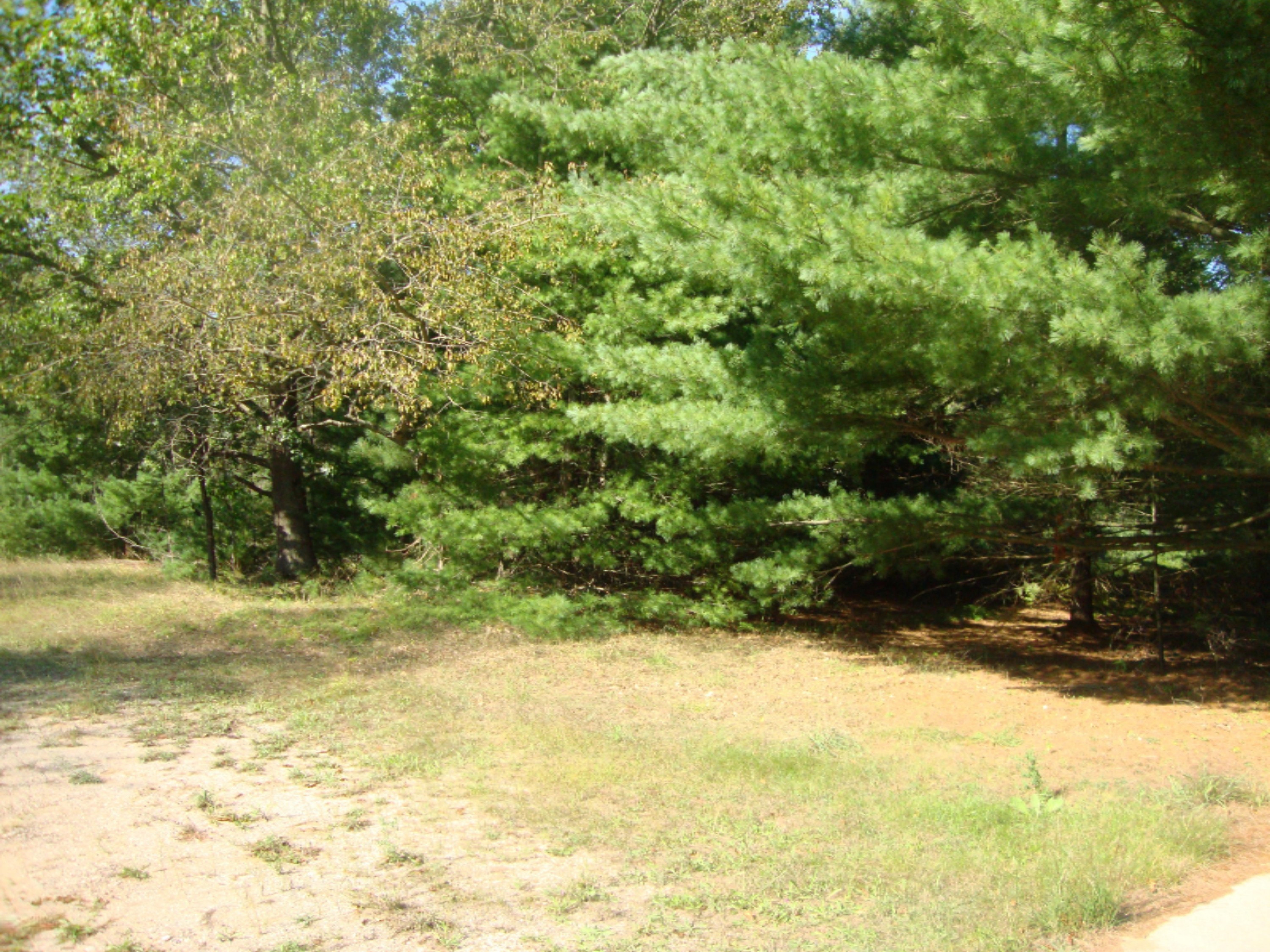 2536 Modjeski Road Manistee, MI 49660 - Photo 23 of 26 DSC03771