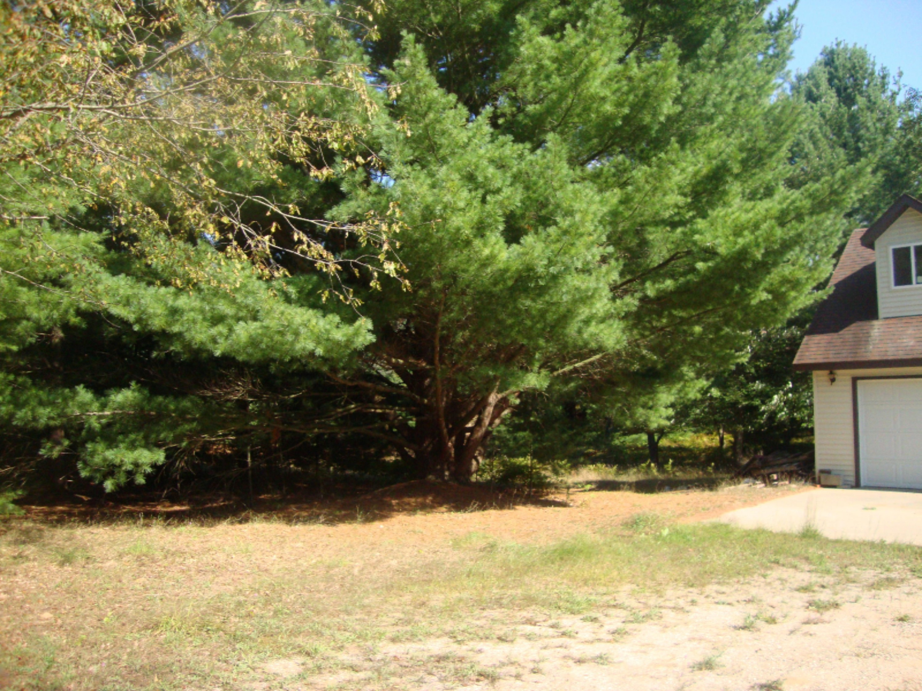 2536 Modjeski Road Manistee, MI 49660 - Photo 3 of 26 DSC03748