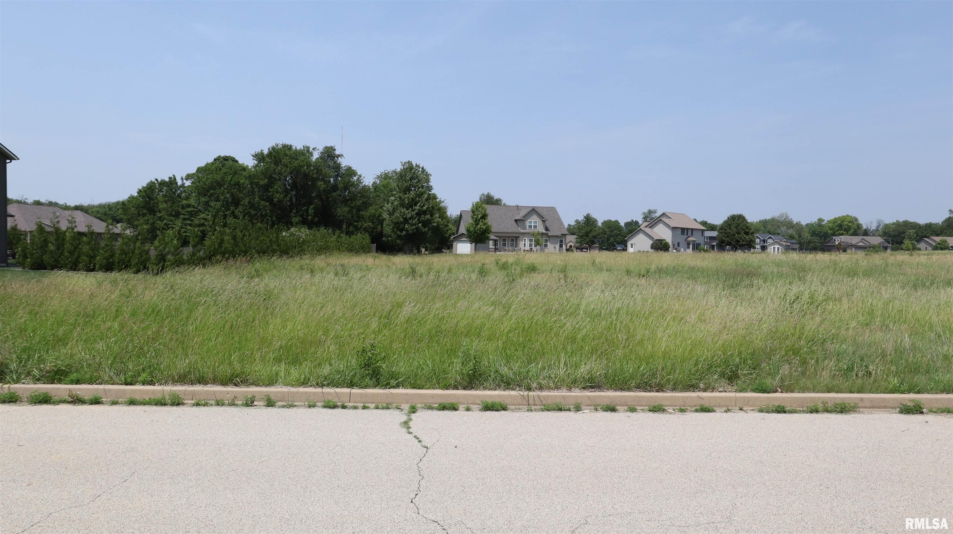 127 Apache Way Groveland, IL 61535 - Photo 3 of 6