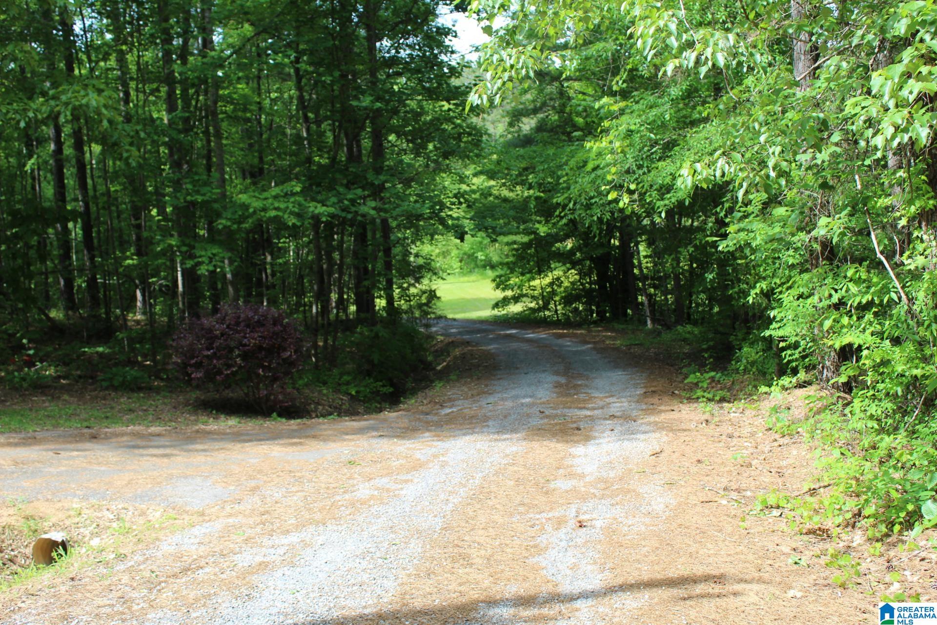 270 Duke School Road Wellington, AL 36279 - Photo 75 of 80