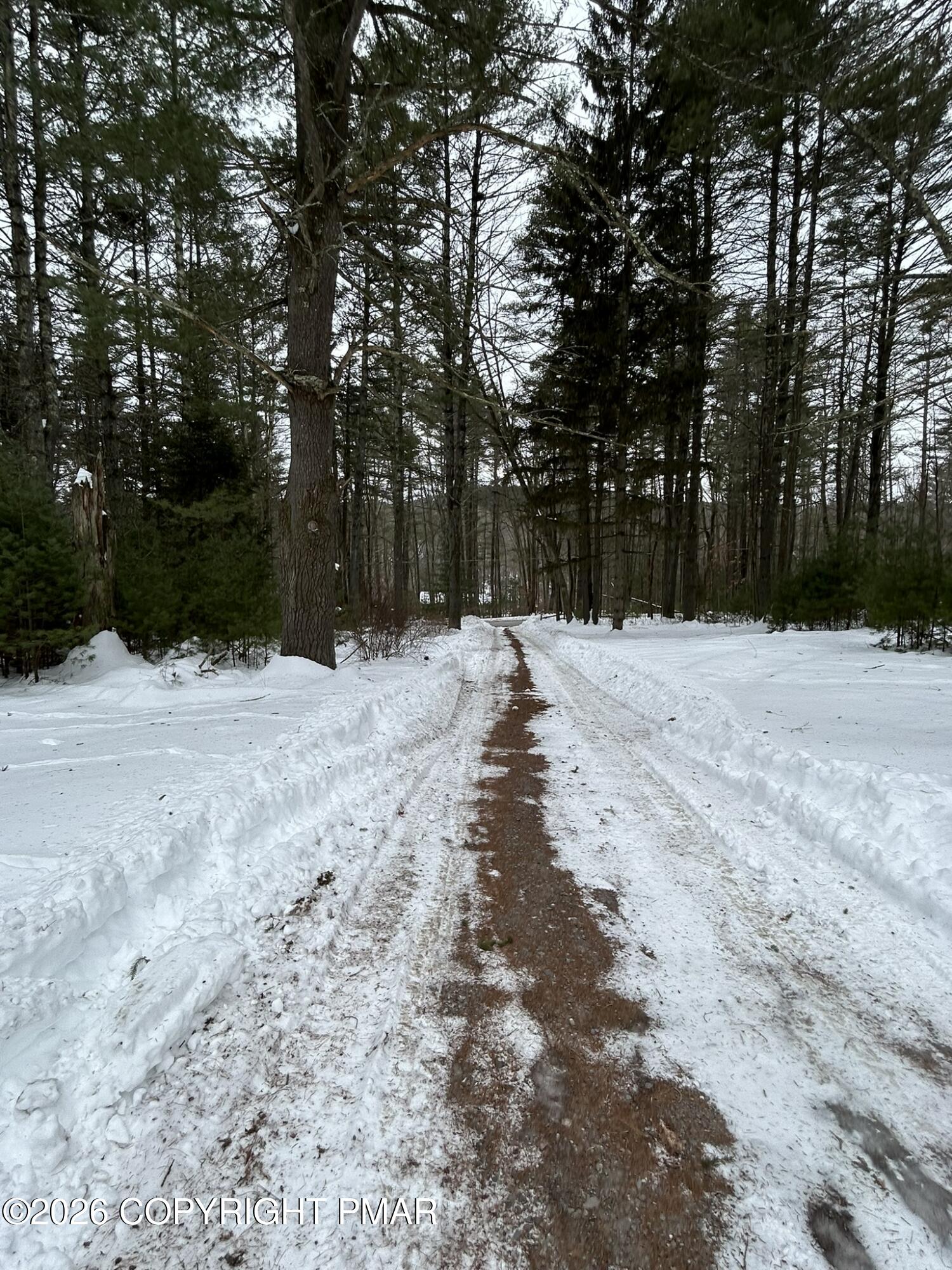 1113 Bush Road Cresco, PA 18326 - Photo 2 of 31 IMG_0023