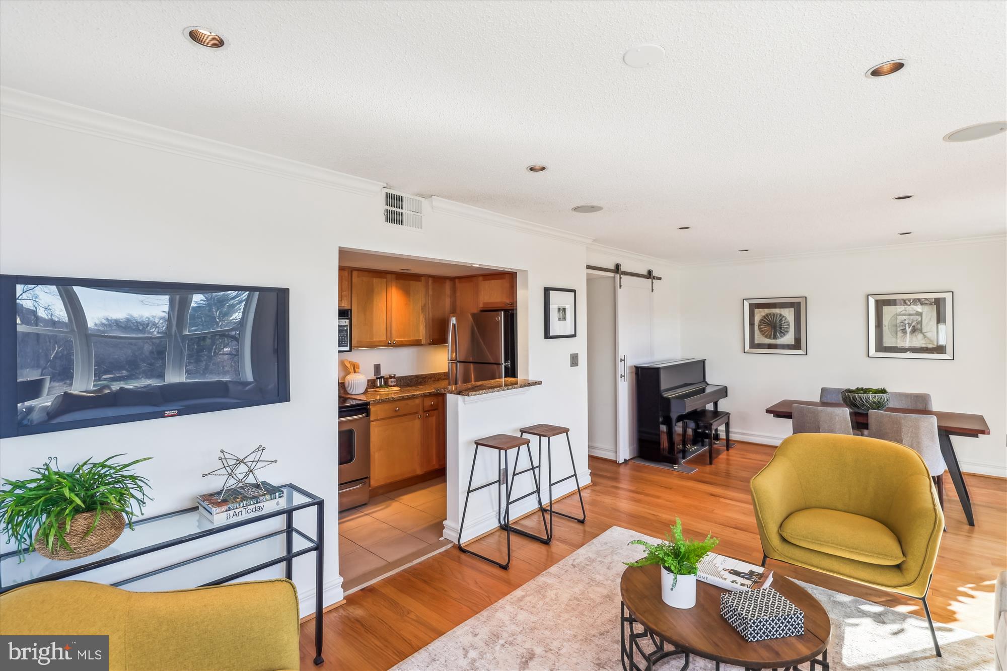 2630 Adams Mill Road Northwest, Unit 209 Washington, DC 20009 - Photo 10 of 47 a living room with furniture potted plant and kitchen view