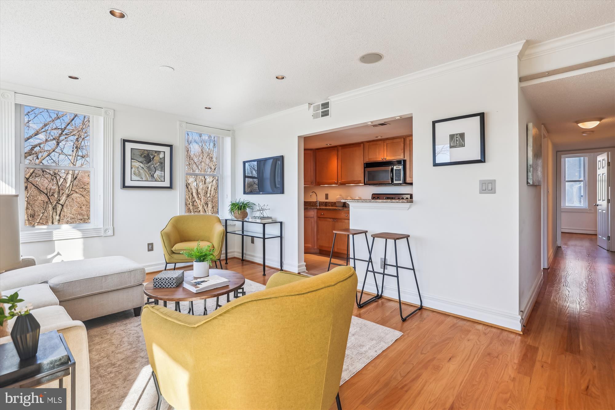 2630 Adams Mill Road Northwest, Unit 209 Washington, DC 20009 - Photo 11 of 47 a living room with furniture and a flat screen tv