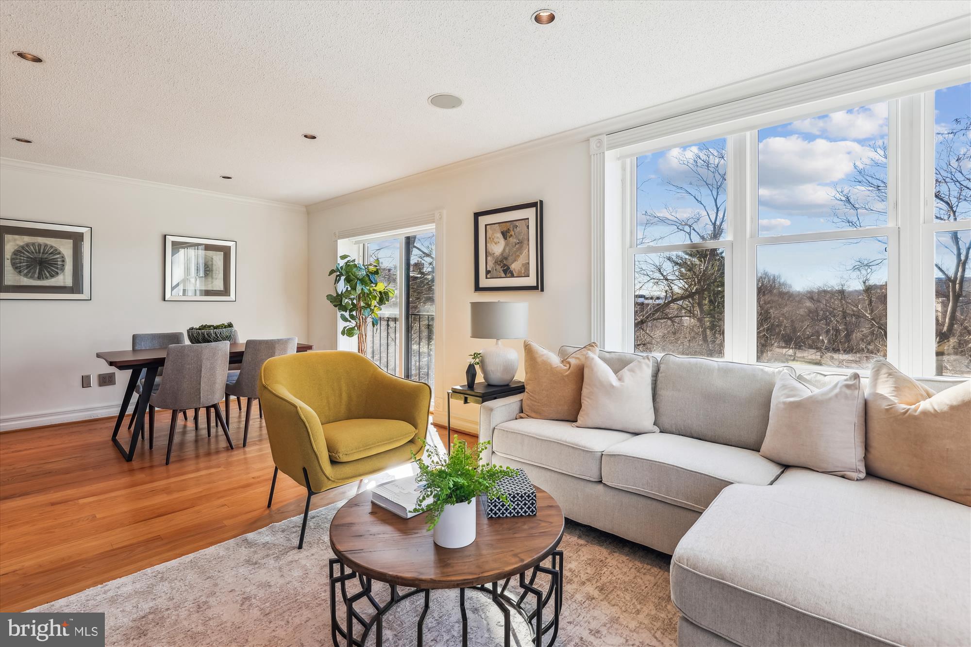 2630 Adams Mill Road Northwest, Unit 209 Washington, DC 20009 - Photo 9 of 47 a living room with furniture and a large window