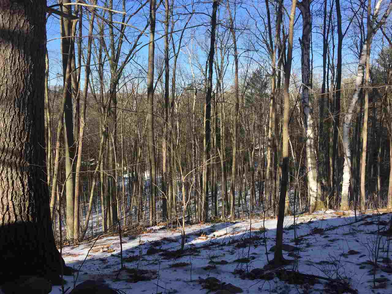 1062 Lower Notch Road Bristol, VT 05443 - Photo 3 of 22