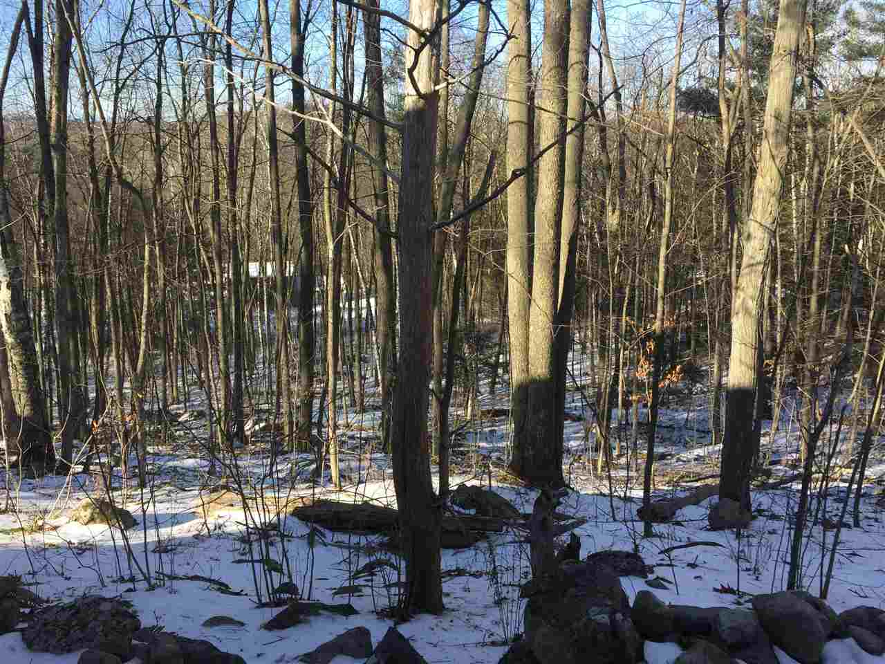 1062 Lower Notch Road Bristol, VT 05443 - Photo 7 of 22