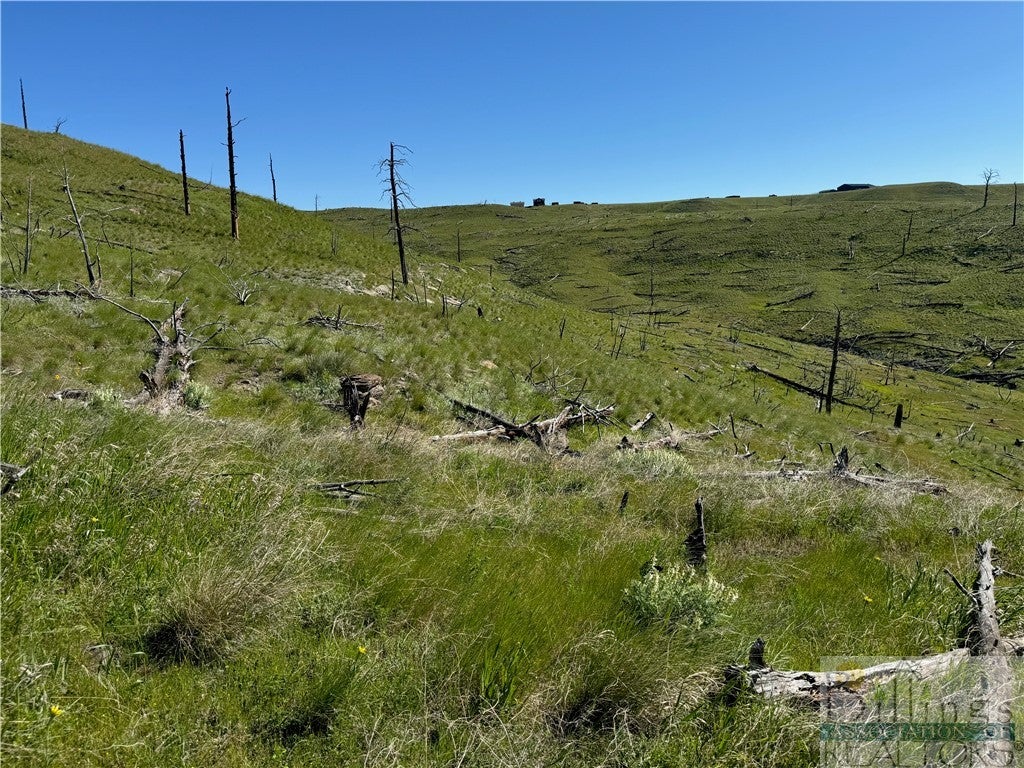 Tbd Tbd Coyote Pass Reed Point, MT 59069 - Photo 1 of 1 Gallery Image 1