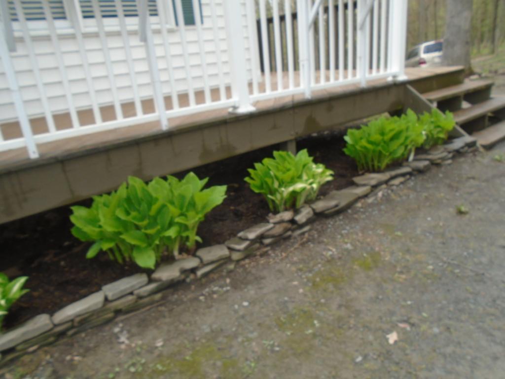 243 Port Road Binghamton, NY 13901 - Photo 13 of 31 Gallery Image 13
