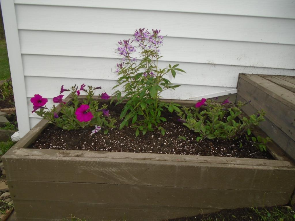 243 Port Road Binghamton, NY 13901 - Photo 28 of 31 Gallery Image 28