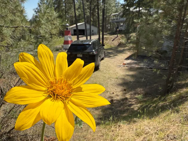 $98,900 | 42078 Porcupine Bay Road, Davenport, WA 99122