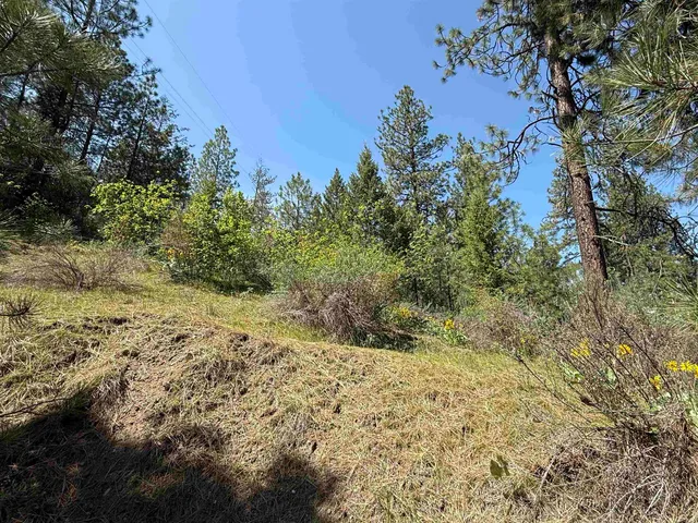 $98,900 | 42078 Porcupine Bay Road, Davenport, WA 99122